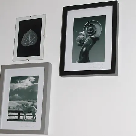 Aparthotel Oina Studio *